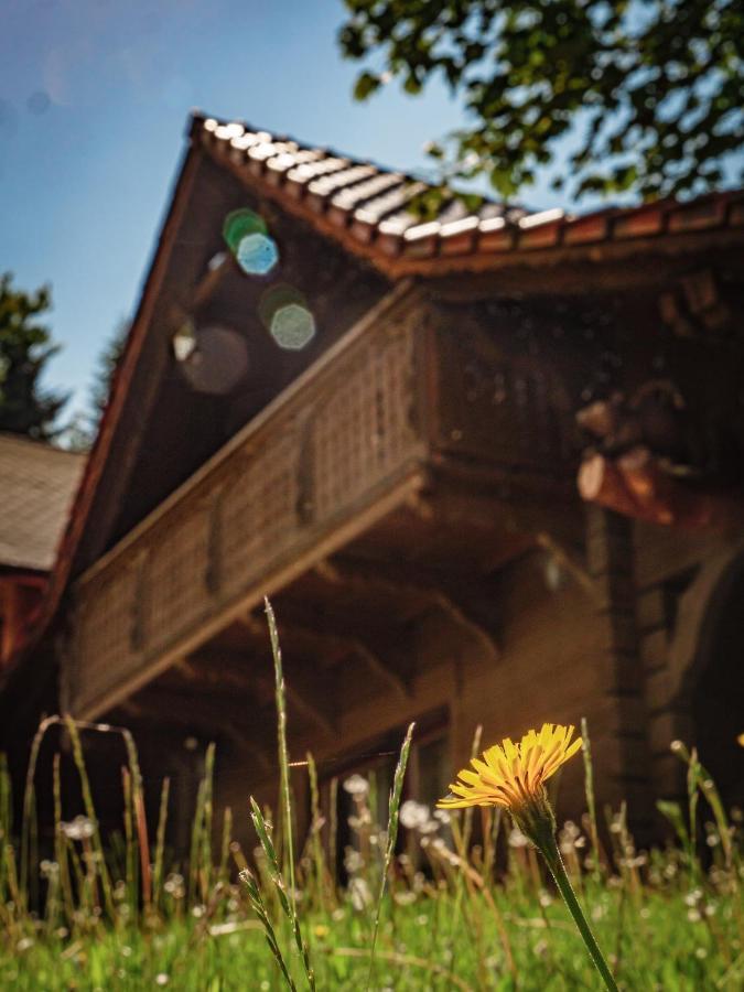 Tworzowka - Ekskluzywne Domy W Gorach Zabnica Esterno foto